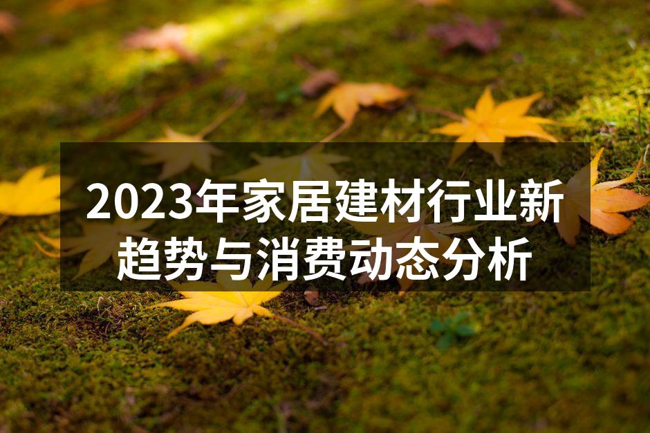 2023年家居建材行业新趋势与消费动态分析